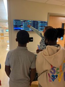 Pimlico - Sinai Partnership Chart